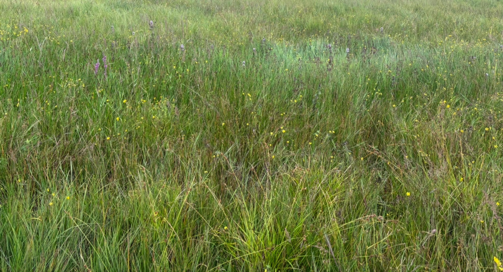 Schools outdoors project 